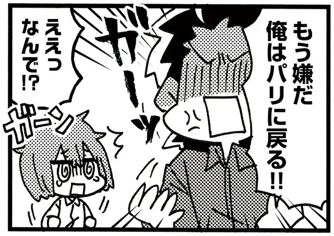 もう嫌だ俺はパリに戻る!!