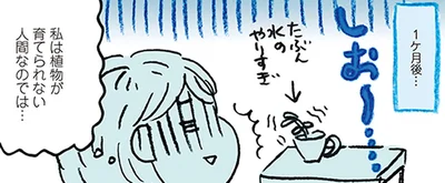 上手に育てられなかった過去から脱却！自分の部屋に向いてる植物を調べてみた