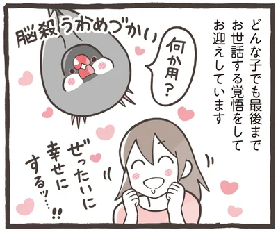 最後までお世話する覚悟をしてお迎えしています