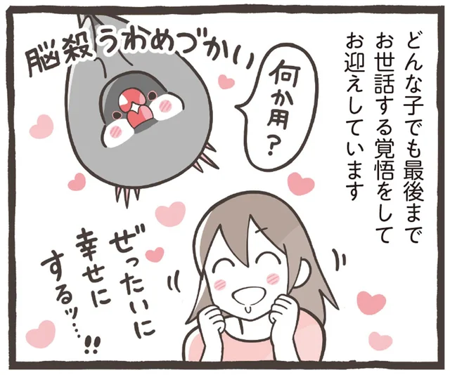 【小鳥のトリセツ】個性は違えど、どの子も尊い命。お迎えしたら最後まで愛してあげて／トリ扱い説明書（1）
