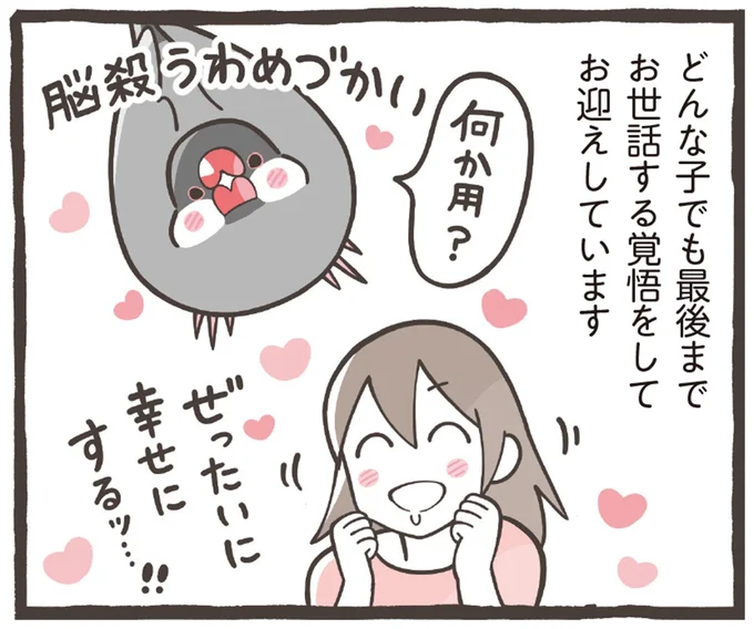 最後までお世話する覚悟をしてお迎えしています