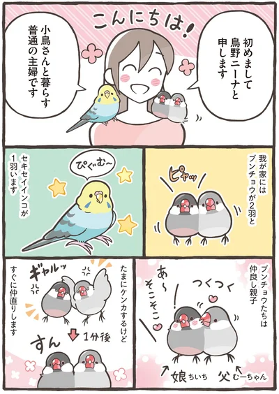 小鳥さんと暮らす普通の主婦です
