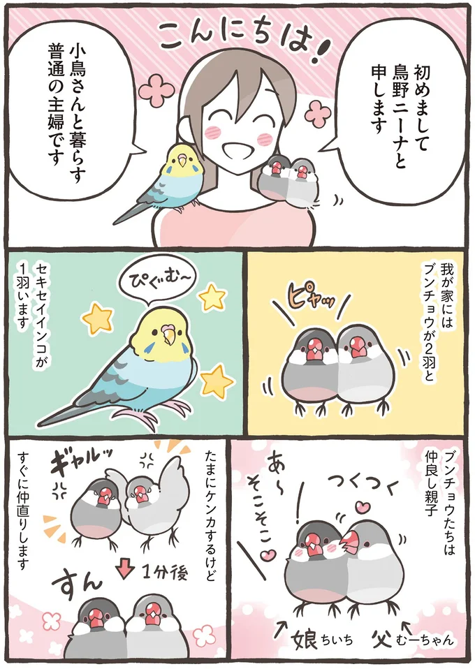 小鳥さんと暮らす普通の主婦です