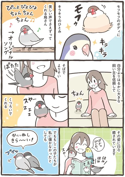 その姿に日々癒やされています