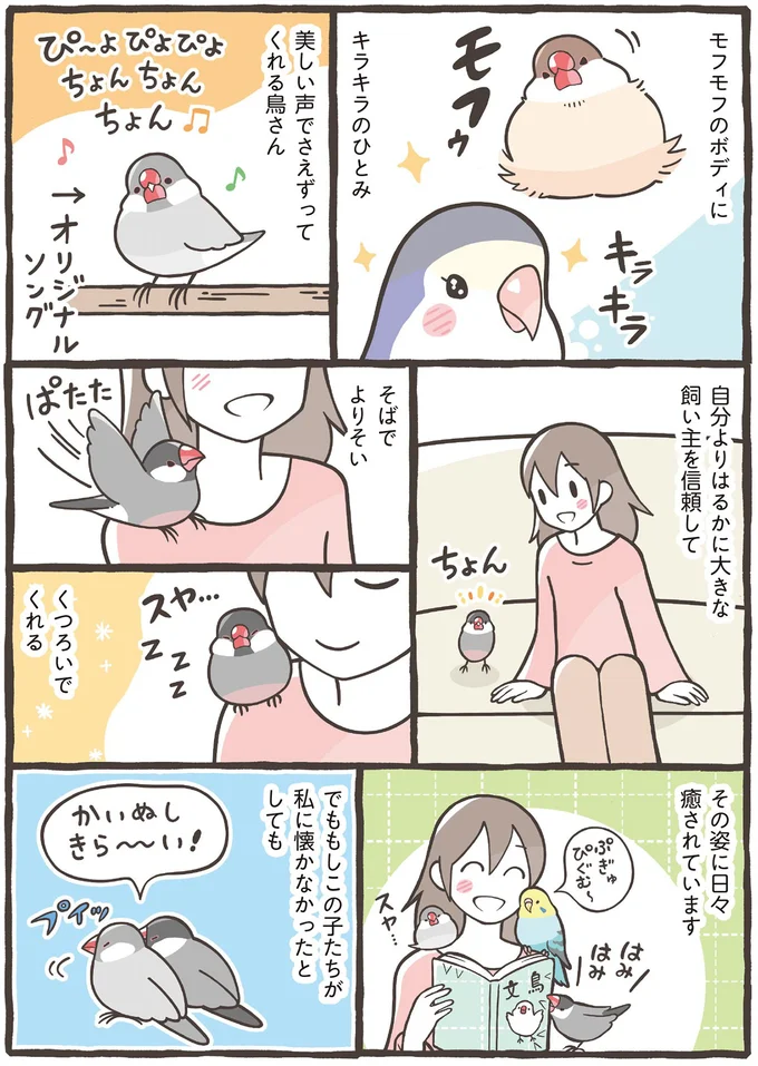 その姿に日々癒やされています
