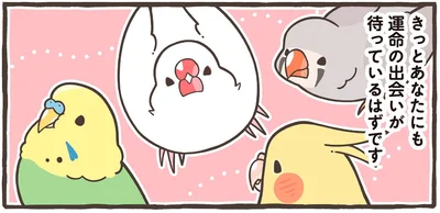 運命の出会いが待っているはずです