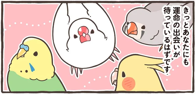 どの鳥さんをお迎えする？ 特に人気のスズメとオウムの仲間たちを紹介！／トリ扱い説明書（3）