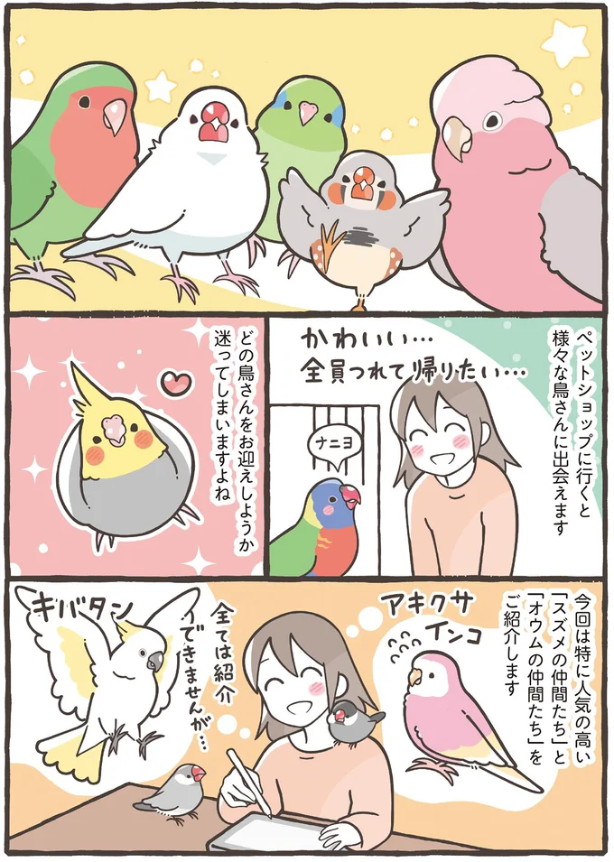 どの鳥さんをお迎えしようか迷ってしまいますよね