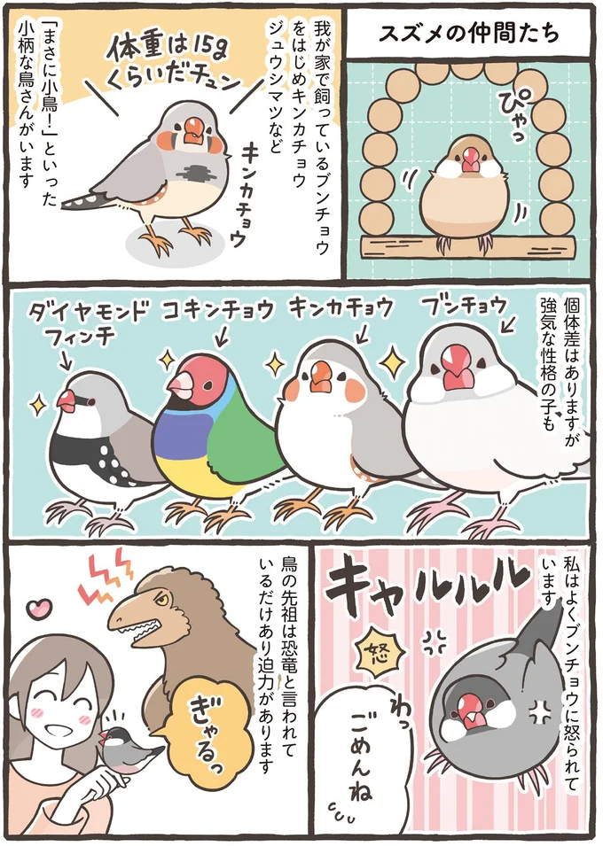 スズメの仲間たち