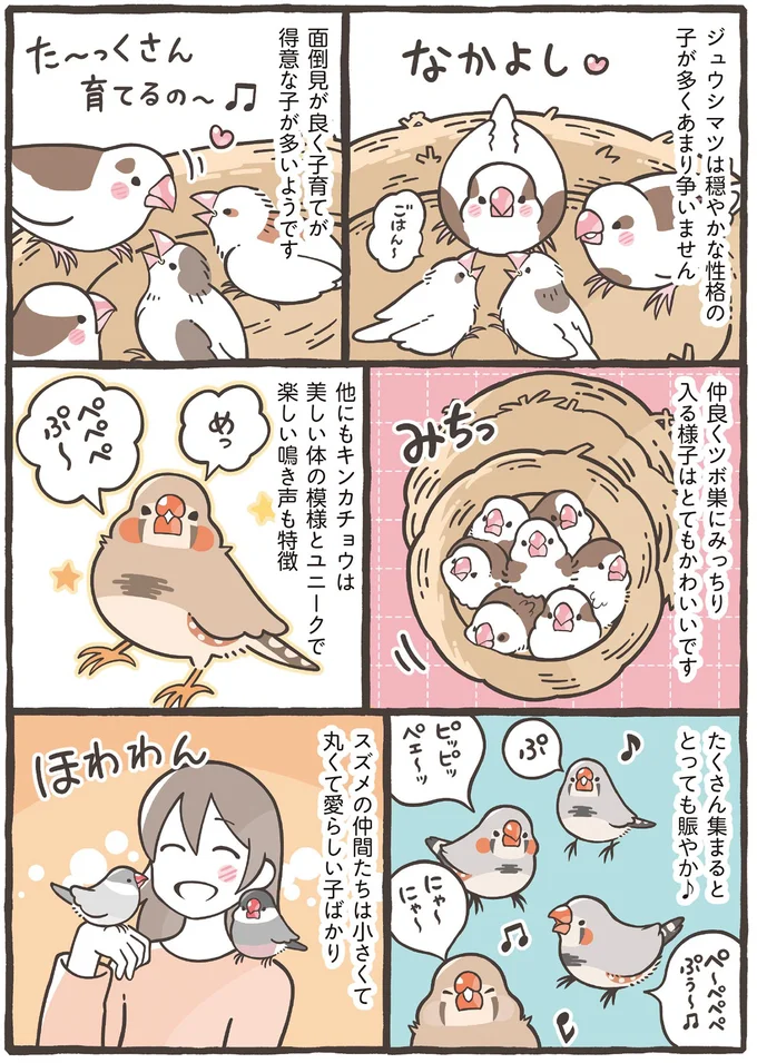 丸くて愛らしい子ばかり