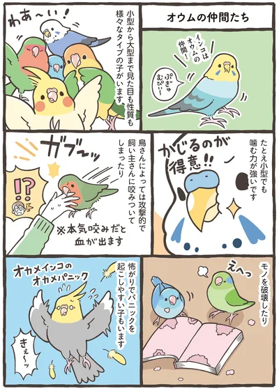 オウムの仲間たち