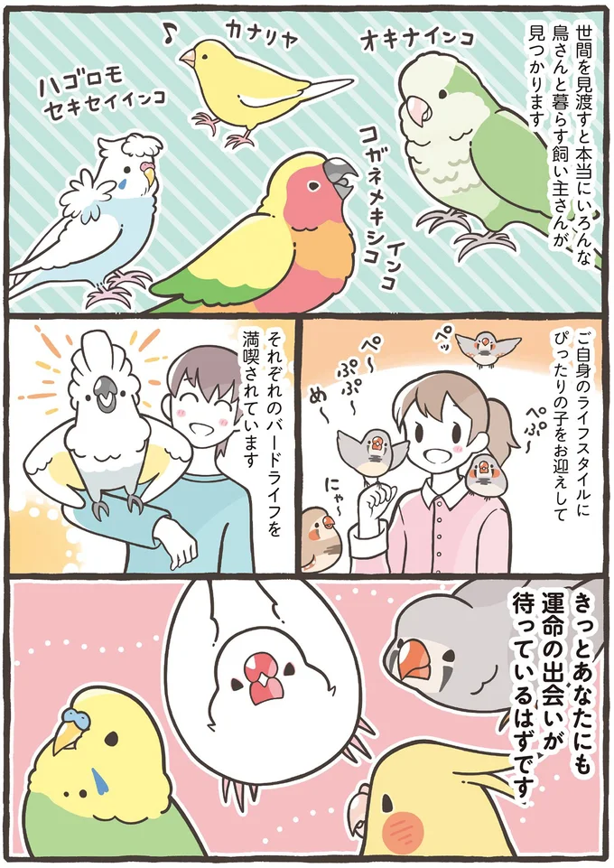 それぞれのバードライフを満喫されています