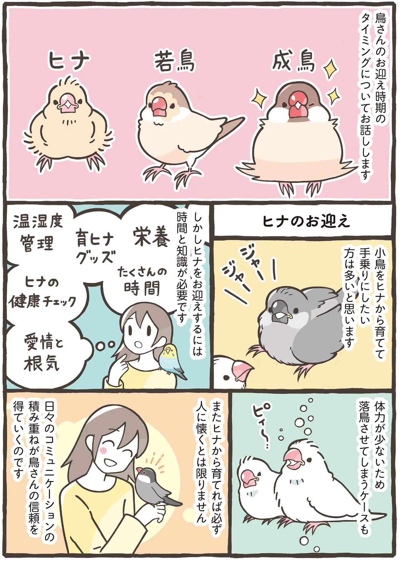 小鳥のトリセツ】ヒナ、若鳥、成鳥。育てる難しさと醍醐味は、成長段階