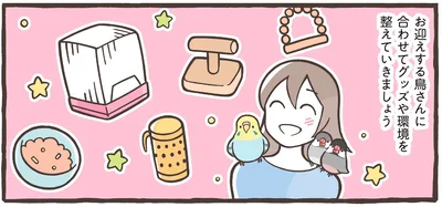 グッズや環境を整えていきましょう
