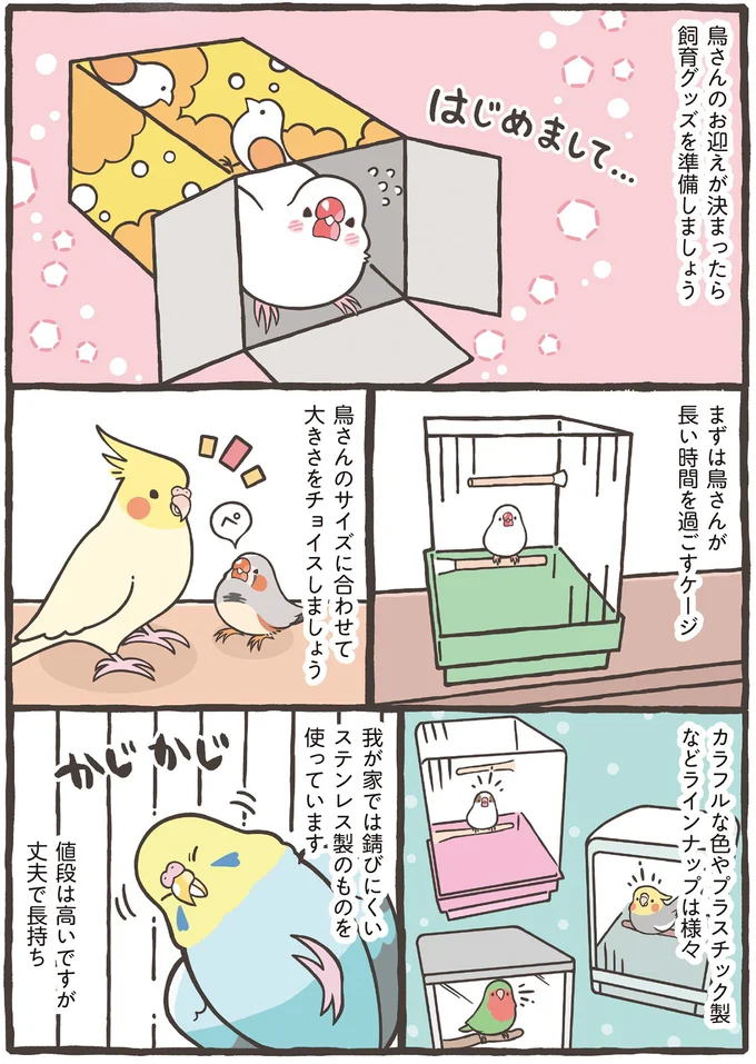 飼育グッズを準備しましょう