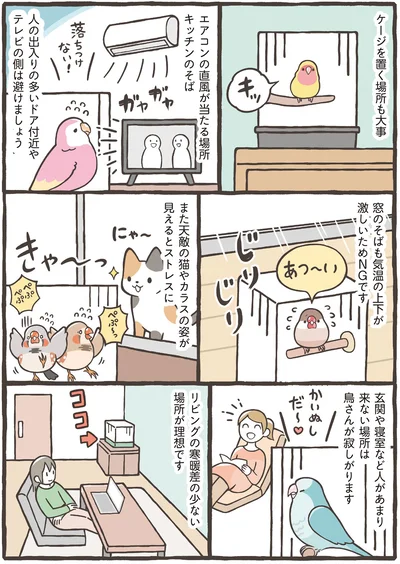 ケージを置く場所も大事