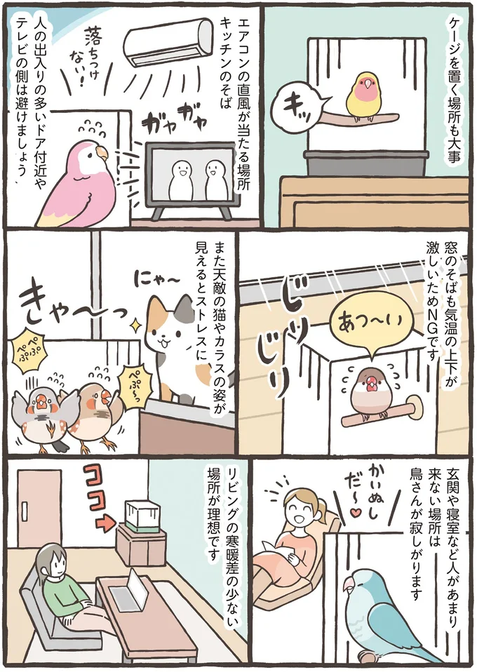 ケージを置く場所も大事