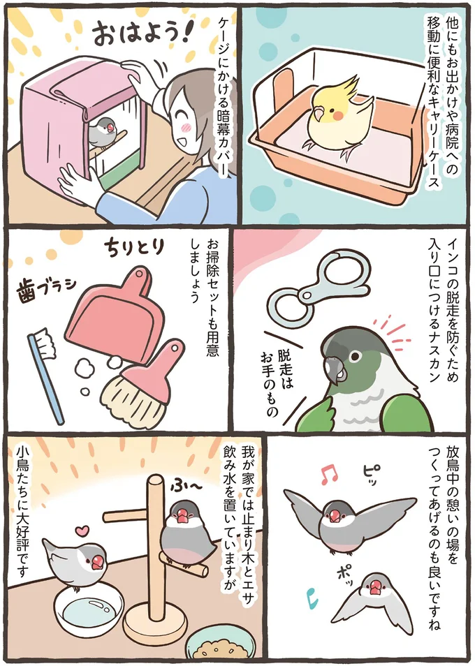 放鳥中の憩いの場を作ってあげるのも良いですね