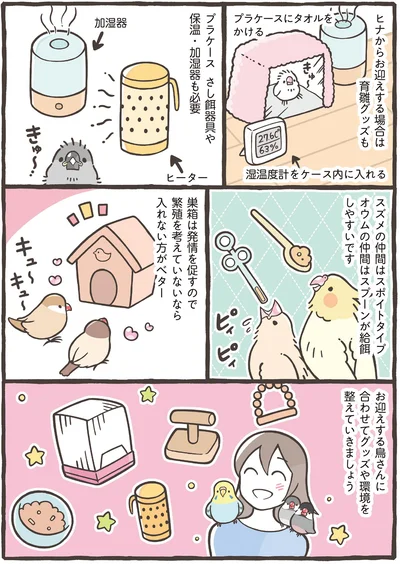 雛からお迎えする場合は育雛グッズも