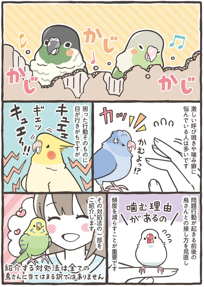 噛む理由があるの