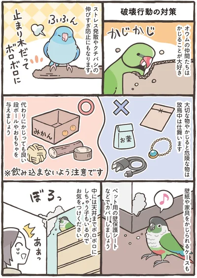 壁紙や家具をかじられるケースも