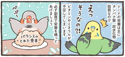 栄養を補ってあげましょう