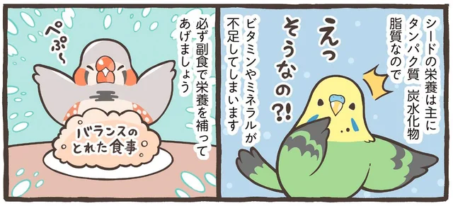 小鳥のごはんには何を与えたらいい？ 主食＋副食で必要な栄養をしっかりカバー