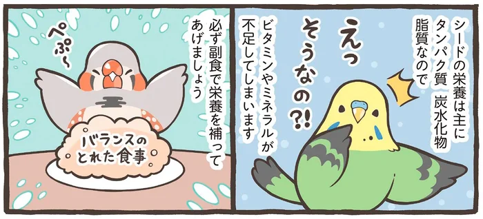 小鳥のごはんには何を与えたらいい？ 主食＋副食で必要な栄養をしっかりカバー