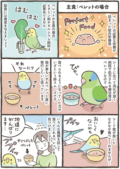 主食：ペレットの場合