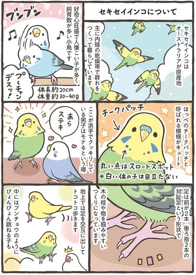 ほっぺのチークパッチと呼ばれる模様がキュート