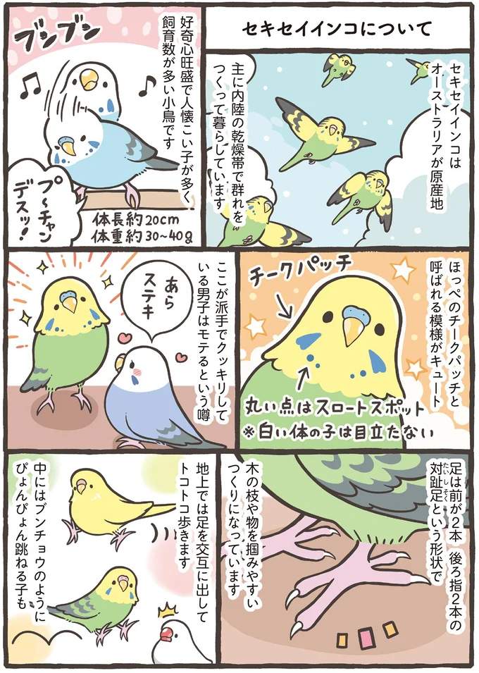 ほっぺのチークパッチと呼ばれる模様がキュート