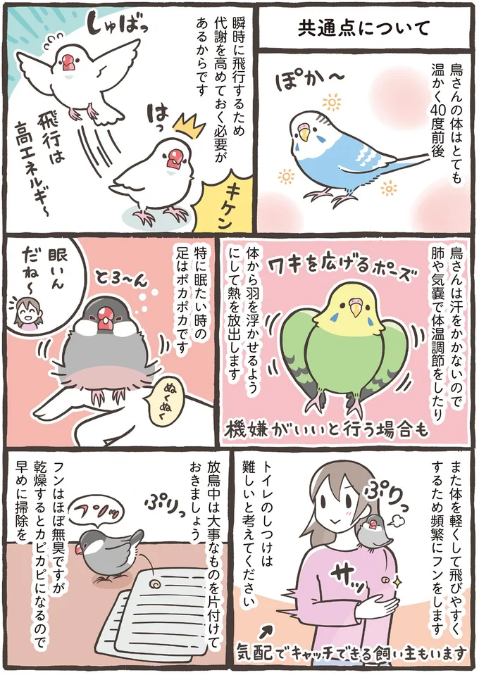 トイレのしつけは難しいと考えてください