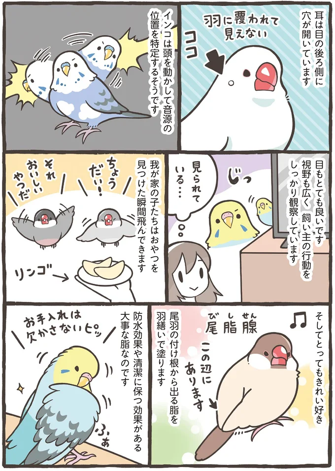 とってもきれい好き