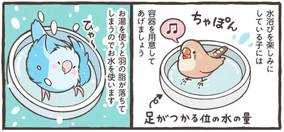 羽の脂が落ちてしまうのでお水を使います