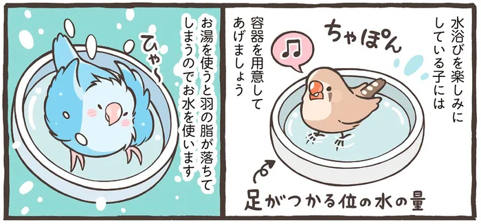 【小鳥のトリセツ】毎日のお世話でしっかり健康管理。水浴びにお湯はNGなど注意点も解説