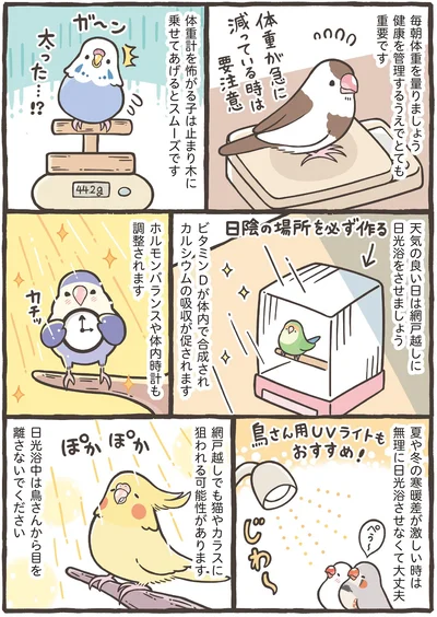 日光浴中は鳥さんから目を離さないでください