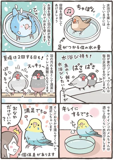 おなかだけでいいの？