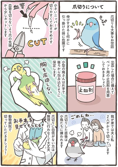爪切りも大事なお世話
