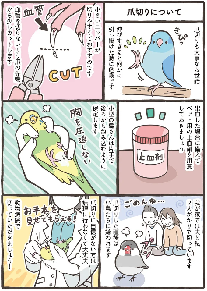 爪切りも大事なお世話