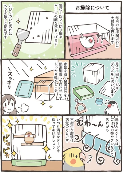 いつも清潔なケージを保ってあげましょう