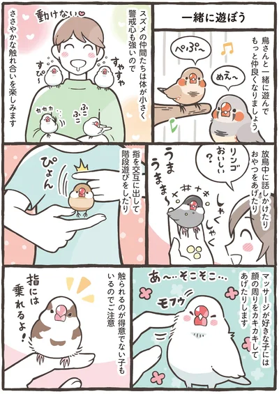 ささやかな触れ合いを楽しみます