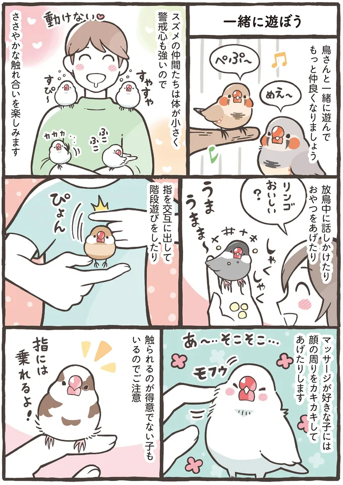 ささやかな触れ合いを楽しみます