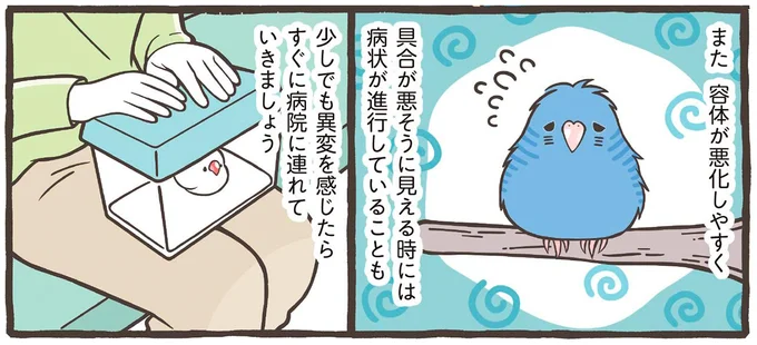 少しでも異変を感じたらすぐに病院に連れていきましょう