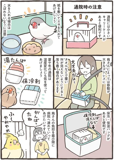 鳥さんへの負担を最小限に病院へ連れていってあげたいですね