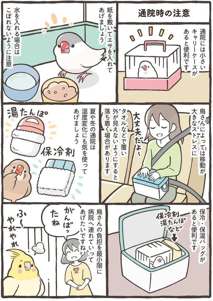 鳥さんへの負担を最小限に病院へ連れていってあげたいですね