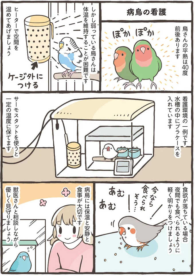 獣医さんと相談しながら優しく見守りましょう