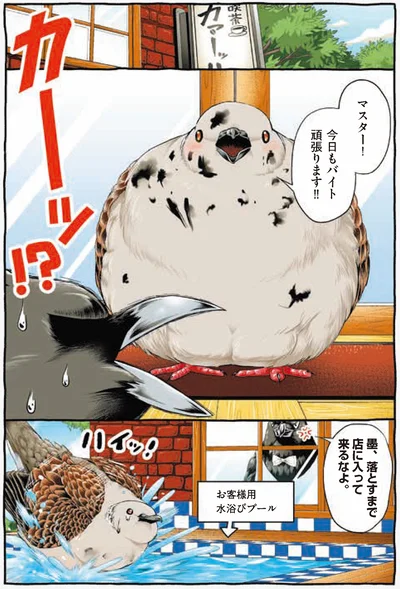 『キジバトくん日記』より