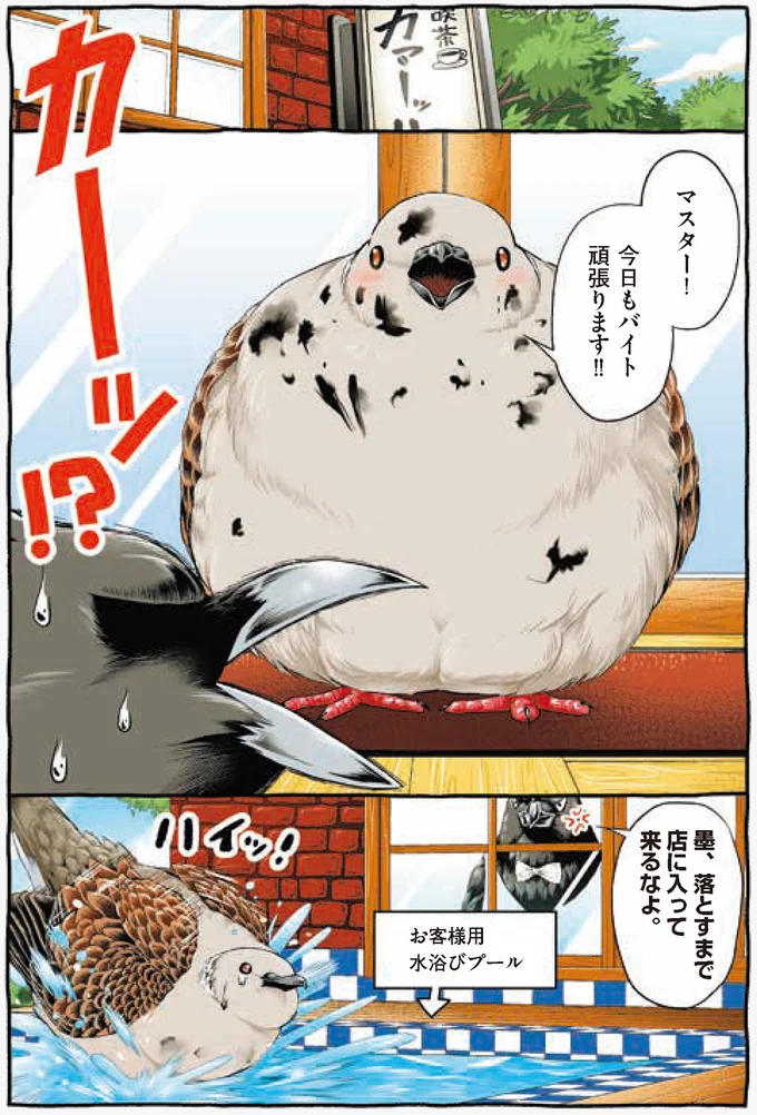 『キジバトくん日記』より