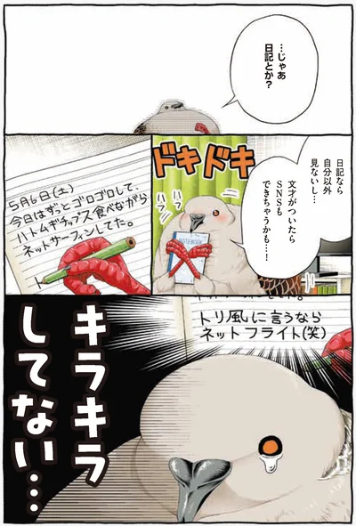 日記とか？