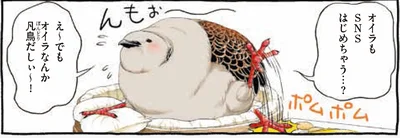 SNSはじめちゃう…？